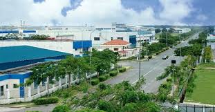 Nhà máy sản xuất gỗ ép xuất khẩu